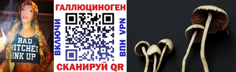 Псилоцибиновые грибы Magic Shrooms МЕГА маркетплейс Ярцево